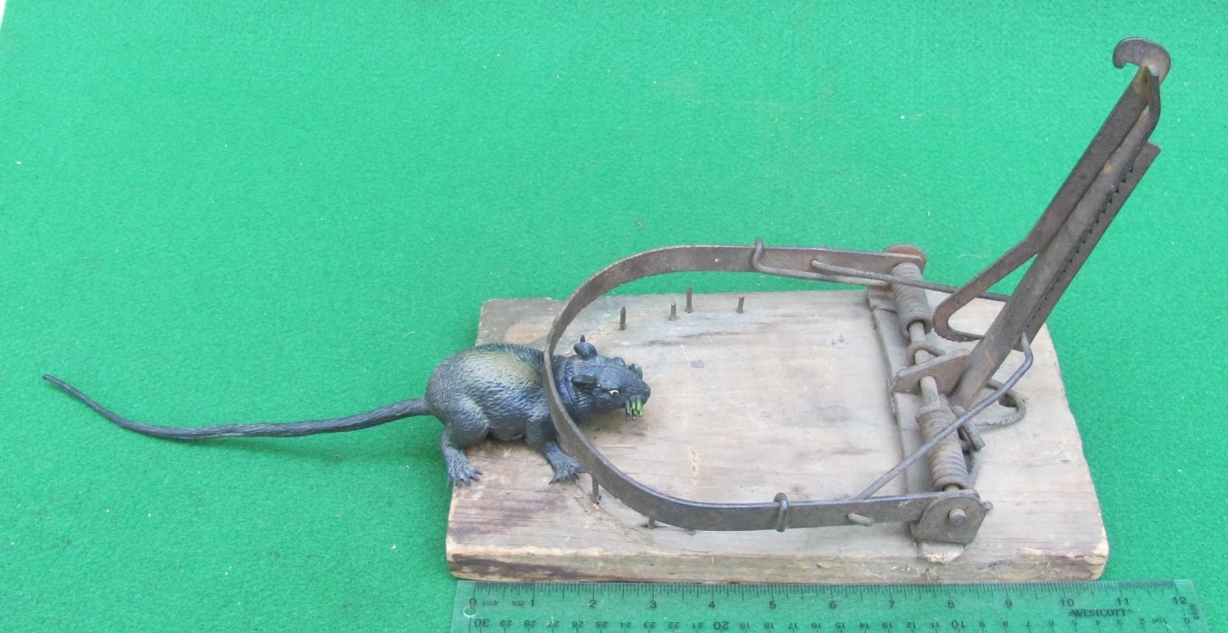 Up To 72% Off on Small Rodent Animal Rat Trap